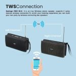 SonicGear SonicGo RDO 30X Portable Speaker with Mic – Grey - Image 2