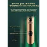 DL-3027 3in1 Multifunctional Hot Air Comb - Image 3